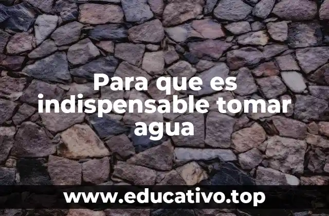Para que es indispensable tomar agua