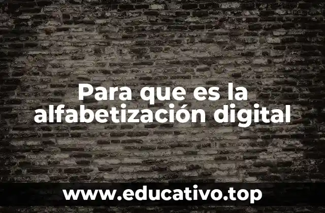Para que es la alfabetización digital