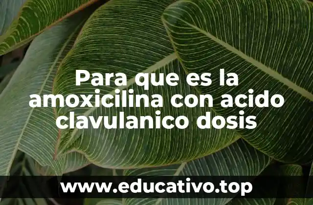 Para que es la amoxicilina con acido clavulanico dosis