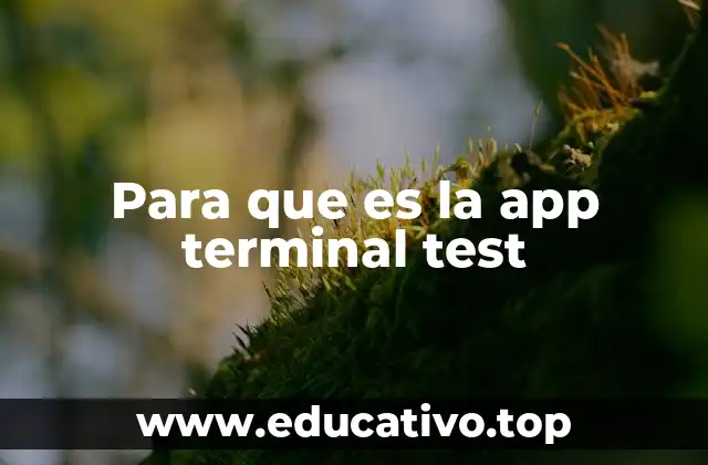Para que es la app terminal test