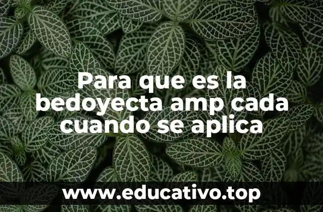 Para que es la bedoyecta amp cada cuando se aplica