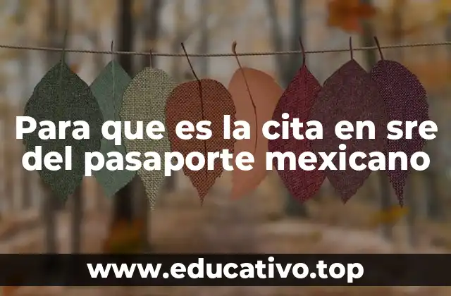 Para que es la cita en sre del pasaporte mexicano