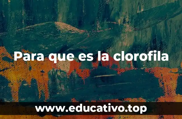Para que es la clorofila
