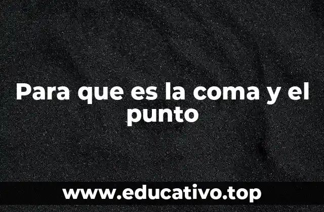 Para que es la coma y el punto
