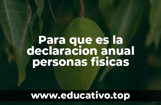 Para que es la declaracion anual personas fisicas
