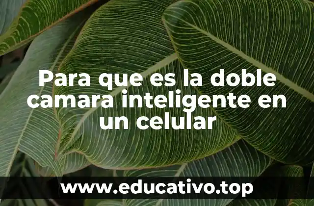 Para que es la doble camara inteligente en un celular