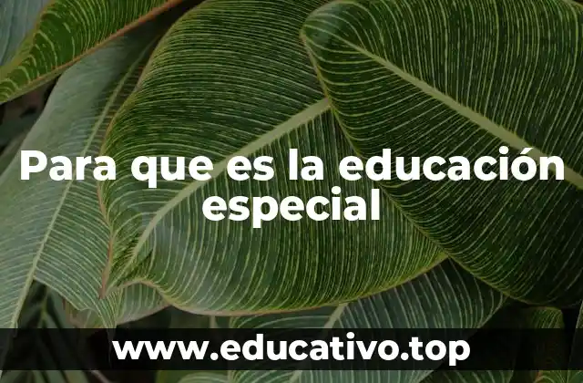 Para que es la educación especial