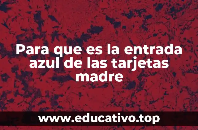 Para que es la entrada azul de las tarjetas madre