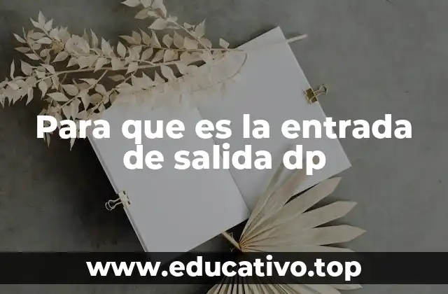 Para que es la entrada de salida dp