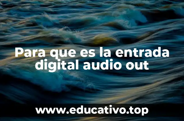 Para que es la entrada digital audio out