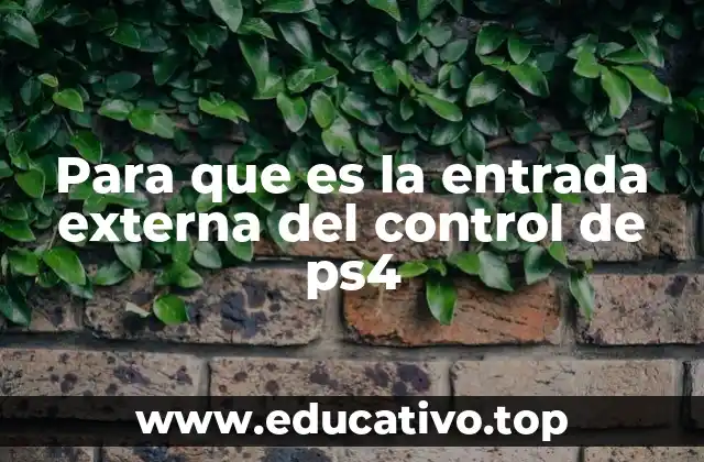 Para que es la entrada externa del control de ps4