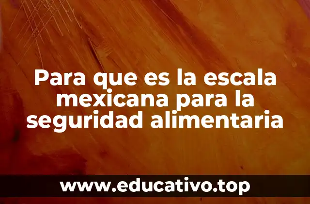 Para que es la escala mexicana para la seguridad alimentaria
