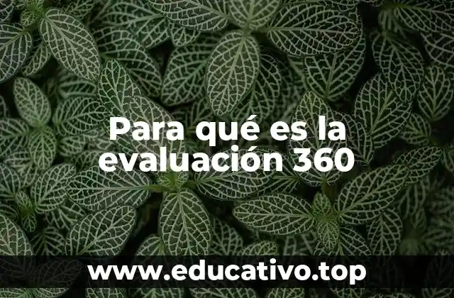 Para qué es la evaluación 360
