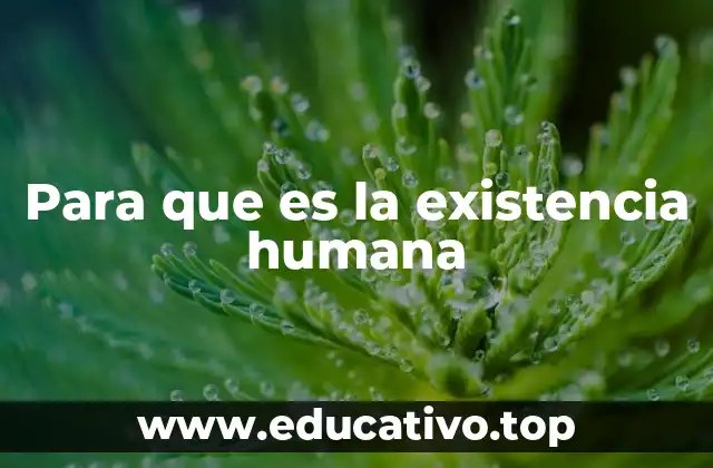 Para que es la existencia humana