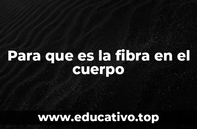 Para que es la fibra en el cuerpo