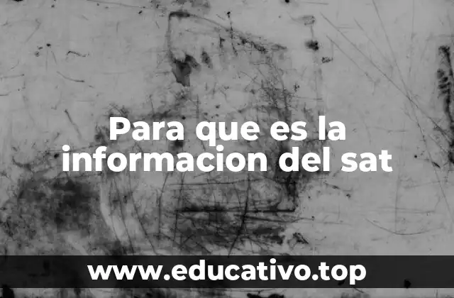 Para que es la informacion del sat