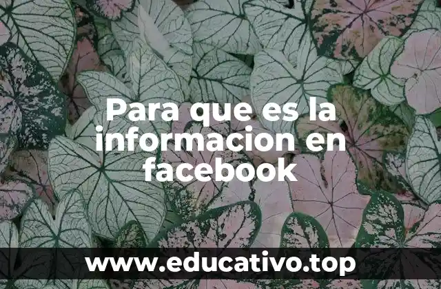 Para que es la informacion en facebook