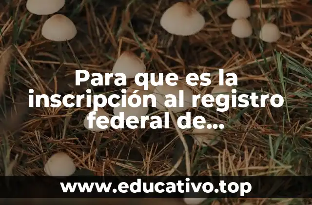Para que es la inscripción al registro federal de contribuyentes