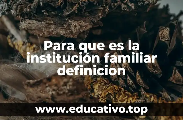 Para que es la institución familiar definicion