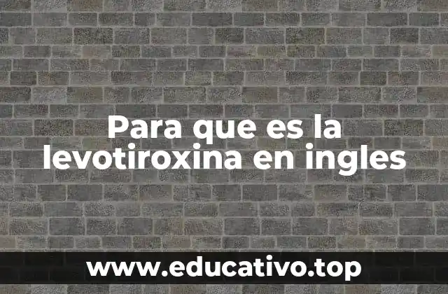 Para que es la levotiroxina en ingles