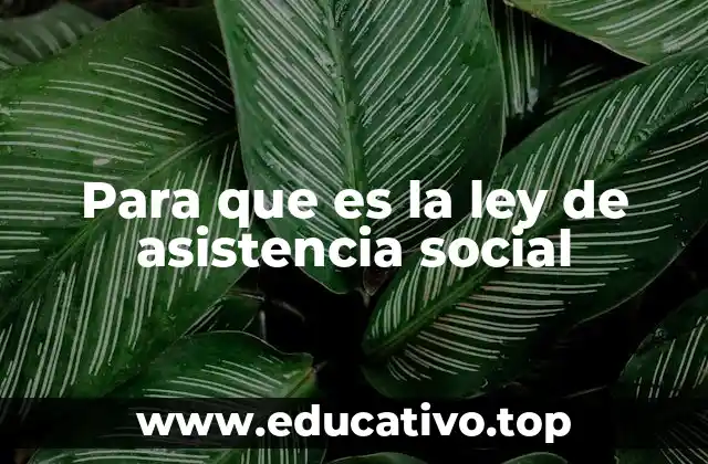 Para que es la ley de asistencia social