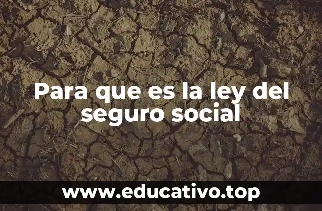 El rol del seguro social en la protección laboral