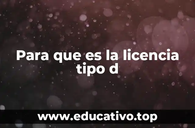 Para que es la licencia tipo d