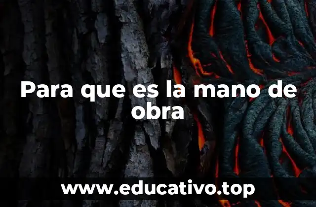 Para que es la mano de obra