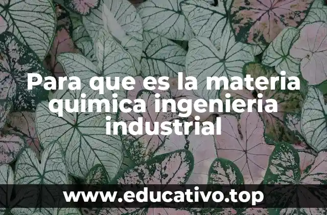 Para que es la materia quimica ingenieria industrial