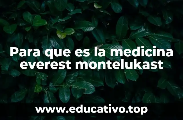 Para que es la medicina everest montelukast