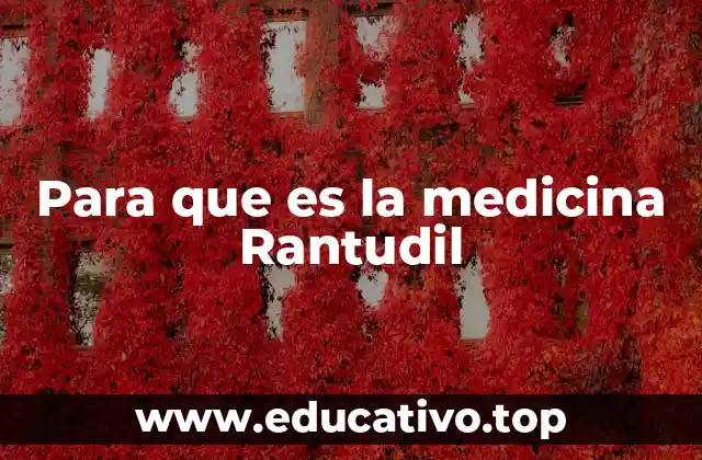 Para que es la medicina Rantudil
