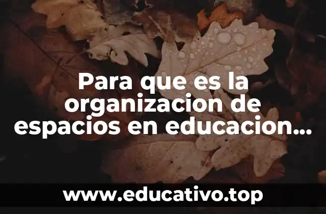 Para que es la organizacion de espacios en educacion infantil