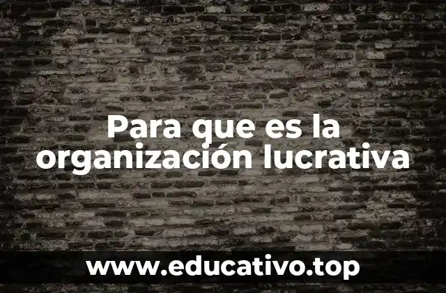 Para que es la organización lucrativa