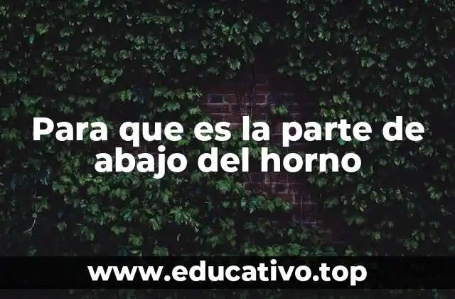 Para que es la parte de abajo del horno