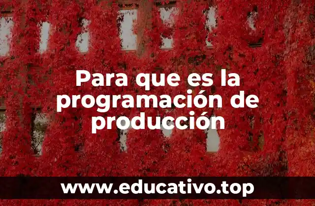 Para que es la programación de producción