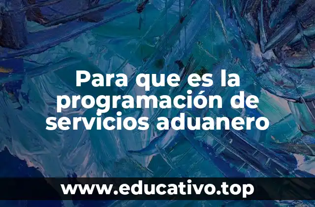 Para que es la programación de servicios aduanero