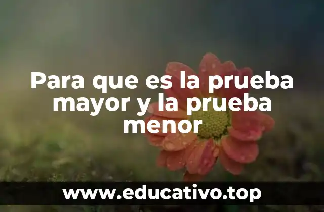 Para que es la prueba mayor y la prueba menor