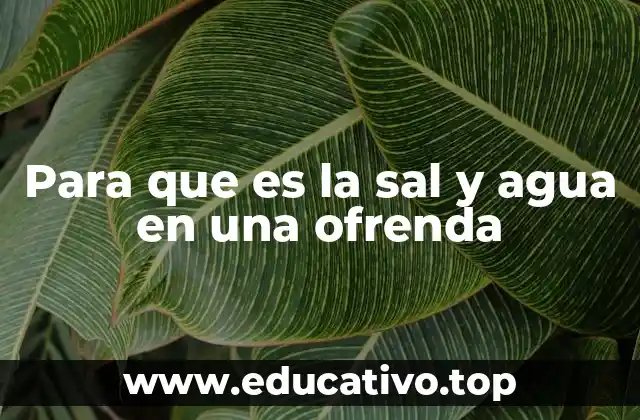 Para que es la sal y agua en una ofrenda