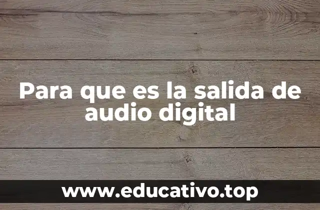Para que es la salida de audio digital