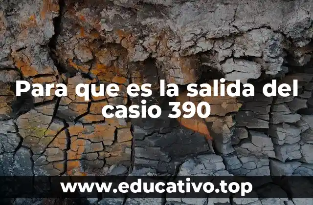 Para que es la salida del casio 390