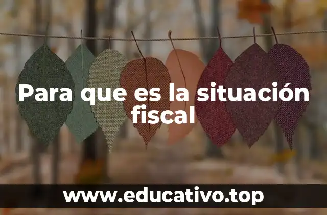 Para que es la situación fiscal