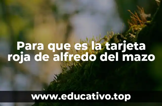 Para que es la tarjeta roja de alfredo del mazo