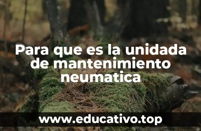 Para que es la unidada de mantenimiento neumatica