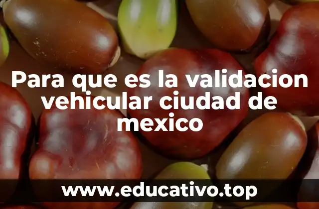 Para que es la validacion vehicular ciudad de mexico