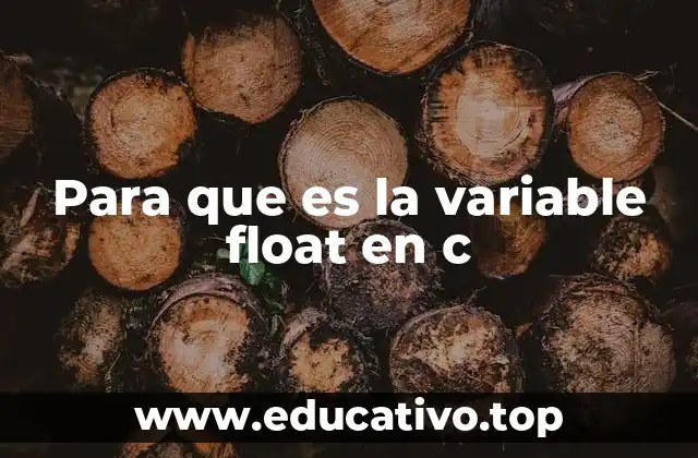 Para que es la variable float en c