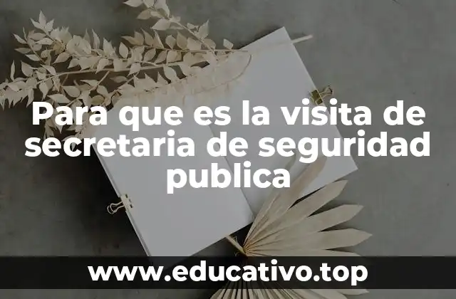 Para que es la visita de secretaria de seguridad publica