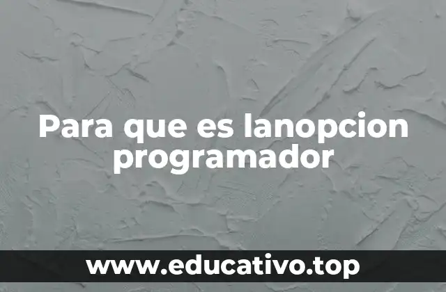 Para que es lanopcion programador