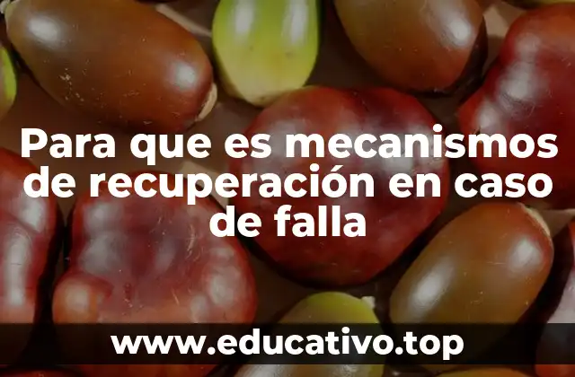 Para que es mecanismos de recuperación en caso de falla