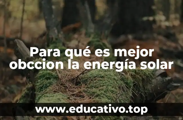 Para qué es mejor obccion la energía solar