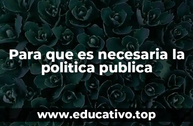 Para que es necesaria la politica publica